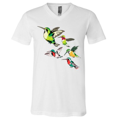 Animal Lover Birdwatching Beautiful Bird Hummingbird V-Neck T-Shirt
