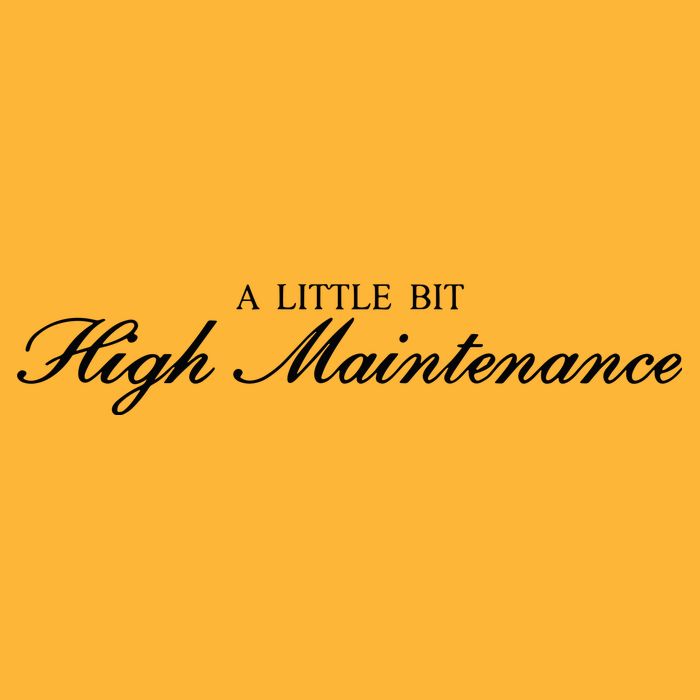 A Little Bit High Maintenance Limited Pom Pom 12in Knit Beanie