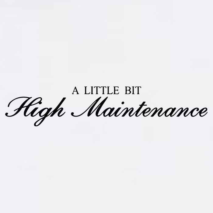 A Little Bit High Maintenance Limited Garment-Dyed Sweatshirt