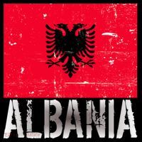 Albania Flag Albanians Soccer Football Team 16 in Basic Backpack