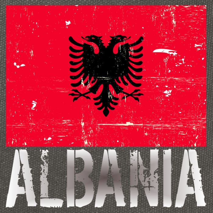 Albania Flag Albanians Soccer Football Team Cotton Canvas Backpack