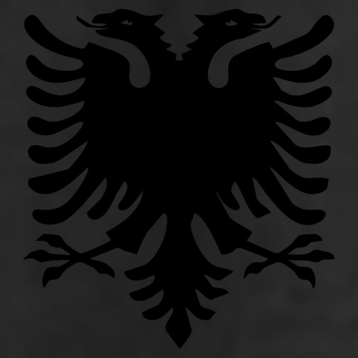 Albanian Flag Eagle Adult Drive Performance Visor