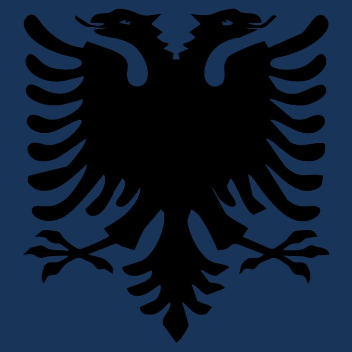 Albanian Flag Eagle Cooling Performance Crew T-Shirt