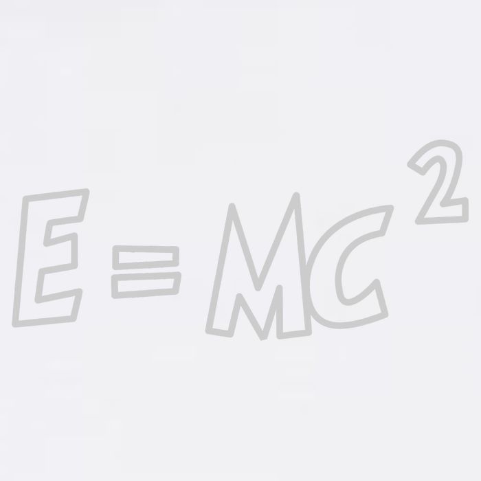 Albert Einstein E=MC2 Equation Garment-Dyed Sweatshirt