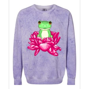 A Little Cute Frog In A Flower Colorblast Crewneck Sweatshirt