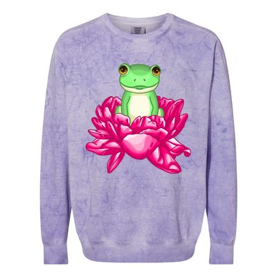 A Little Cute Frog In A Flower Colorblast Crewneck Sweatshirt