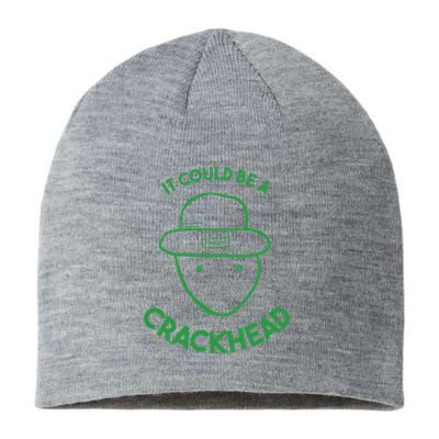 Amateur Leprecetch Could Be Ahaun Sk Crackhead Paddys Day Sustainable Beanie