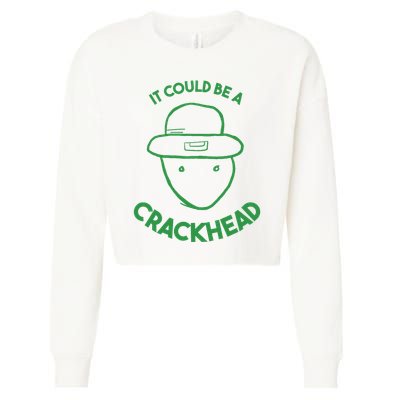 Amateur Leprecetch Could Be Ahaun Sk Crackhead Paddys Day Cropped Pullover Crew
