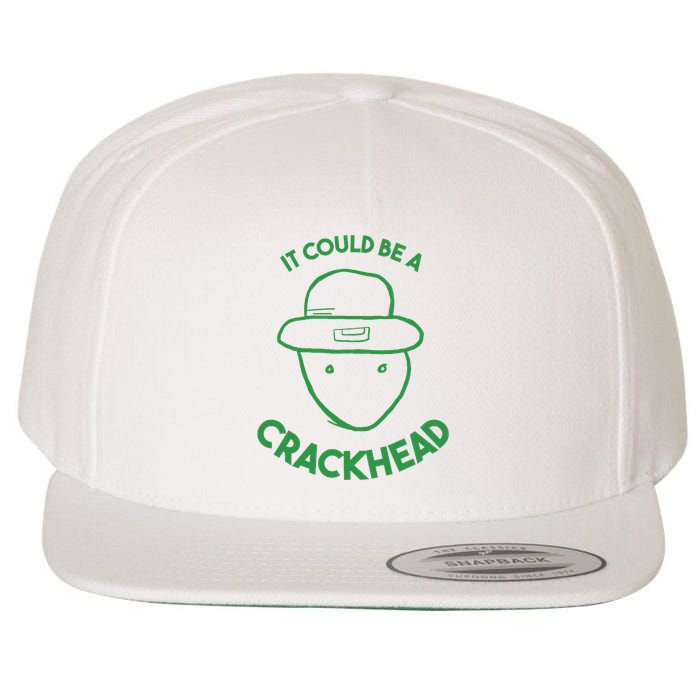 Amateur Leprecetch Could Be Ahaun Sk Crackhead Paddys Day Wool Snapback Cap