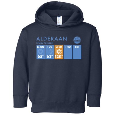 Alderaan 5 Day Forecast  Toddler Hoodie
