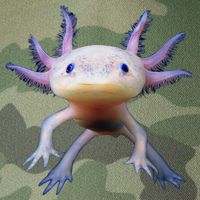 Axolotl Limited Edition Legacy Tie Dye Trucker Hat