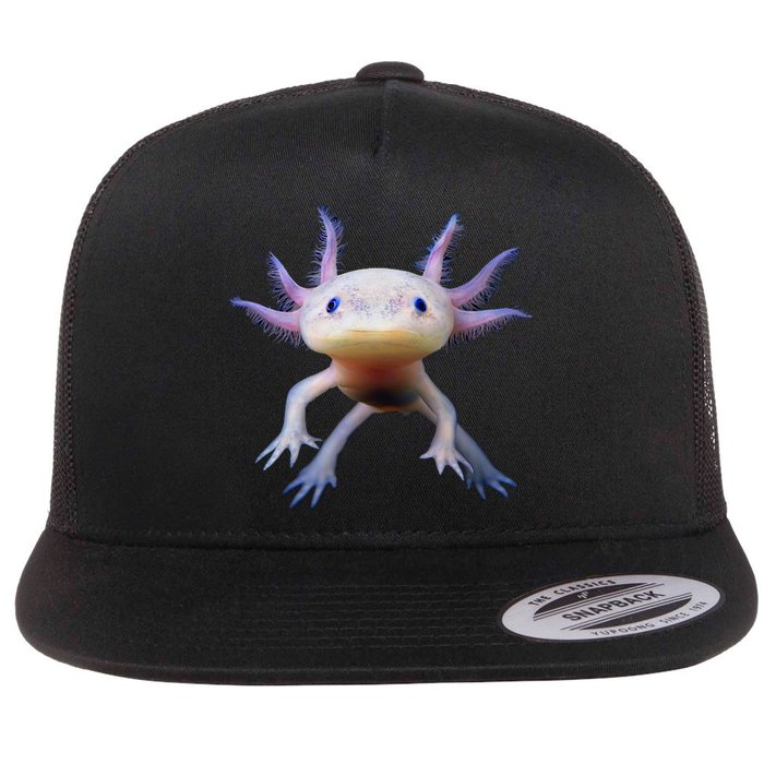 Axolotl Limited Edition Flat Bill Trucker Hat