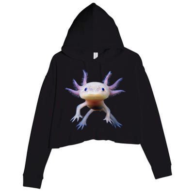 Axolotl Limited Edition Crop Fleece Hoodie