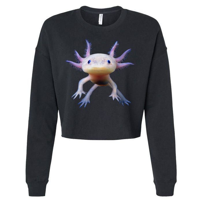 Axolotl Limited Edition Cropped Pullover Crew