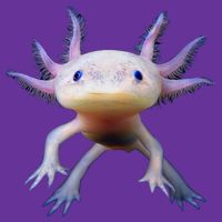 Axolotl Limited Edition Baby Bodysuit