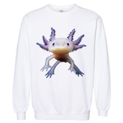 Axolotl Limited Edition Garment-Dyed Sweatshirt