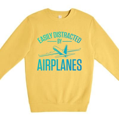 Airplane Lovers Easily Distracted By Airplanes Meaningful Gift Premium Crewneck Sweatshirt