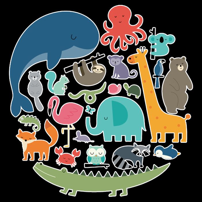 Animal Lover Earth Bucket Hat