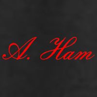 Alexander Hamilton A. Ham Red Script Logo Adult Drive Performance Visor
