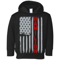 Alexander Hamilton American Vintage Flag Toddler Hoodie