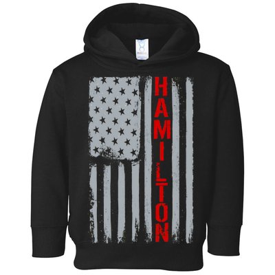 Alexander Hamilton American Vintage Flag Toddler Hoodie