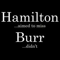 Alexander Hamilton Fan He Aimed To Miss Burr Didn't Apron