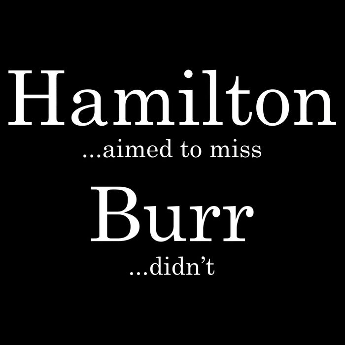 Alexander Hamilton Fan He Aimed To Miss Burr Didn't Apron