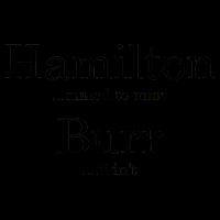 Alexander Hamilton Fan He Aimed To Miss Burr Didn't Mug