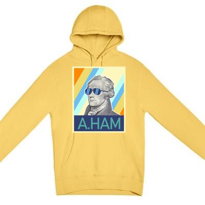 Alexander Hamilton Sunglasses Premium Pullover Hoodie