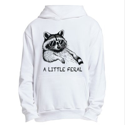 A Little Feral Raccoon With Moon Animal Raccoon Trash Panda Urban Pullover Hoodie