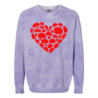 Animals Lover Funny Hedgehog Heart Valentine's Day Gift Colorblast Crewneck Sweatshirt