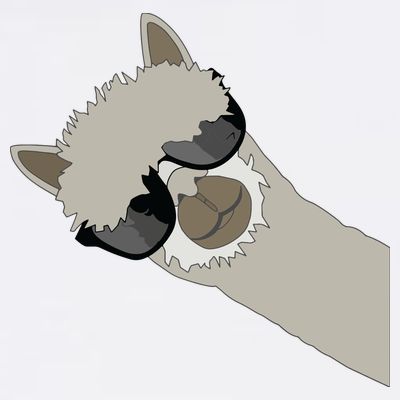 Alpaca Llama Gift Funny Cool Llama Deco T-Shirt