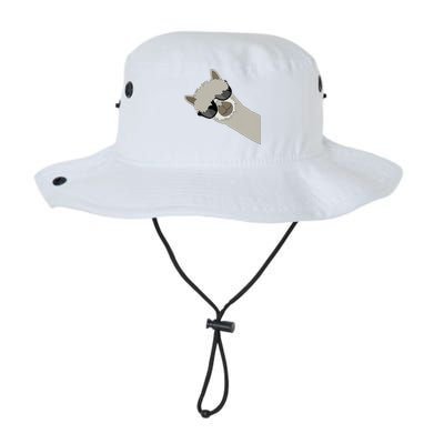 Alpaca Llama Gift Funny Cool Llama Deco Bucket Hat
