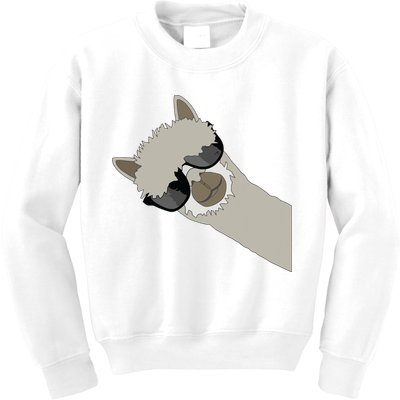 Alpaca Llama Gift Funny Cool Llama Deco Kids Sweatshirt