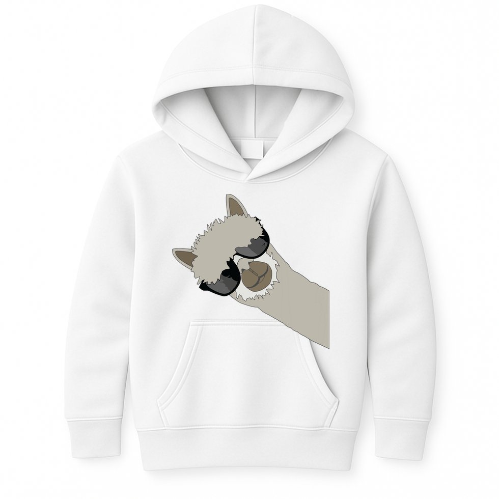 Alpaca Llama Gift Funny Cool Llama Deco Kids Hoodie