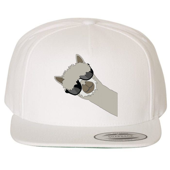 Alpaca Llama Gift Funny Cool Llama Deco Wool Snapback Cap