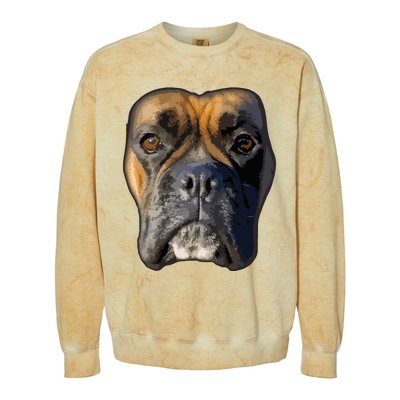 Animal Lover Gift Boxer Face Funny Dog Lovers Colorblast Crewneck Sweatshirt