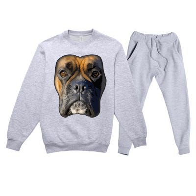 Animal Lover Gift Boxer Face Funny Dog Lovers Premium Crewneck Sweatsuit Set