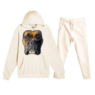 Animal Lover Gift Boxer Face Funny Dog Lovers Premium Hooded Sweatsuit Set