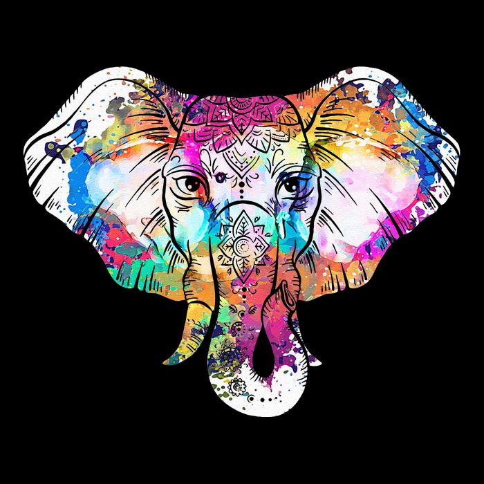 Animal Lover Gift Africa Safari Zoo Keeper Elephant Bucket Hat