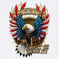 America Love It Or Leave It Patriotic Eagle Womens Tank Top