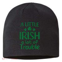 A Little Irish A Lot Of Trouble Irish St Patrick'S Day Sustainable Beanie