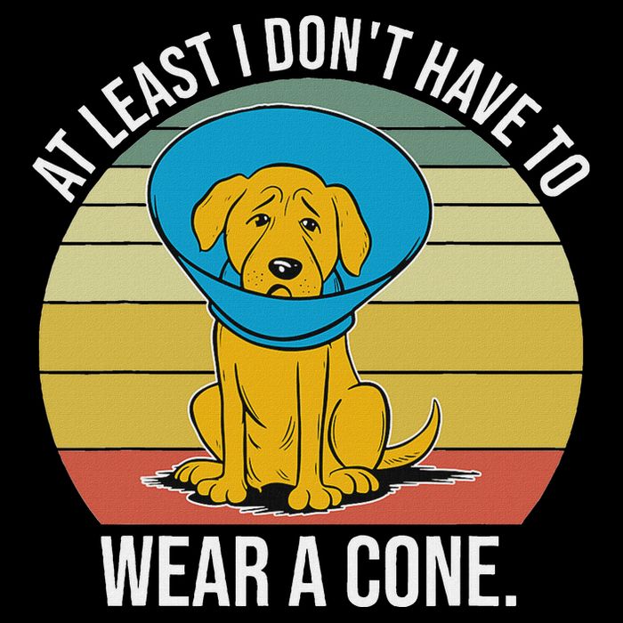 At Least I DonT Have To Wear A Cone Funny Drawstring Bag
