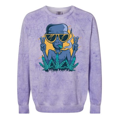 Alien Joint Colorblast Crewneck Sweatshirt