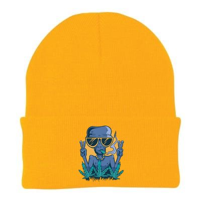 Alien Joint Knit Cap Winter Beanie