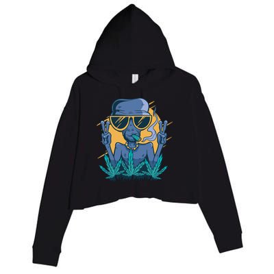 Alien Joint Crop Fleece Hoodie