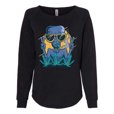 Alien Joint Womens California Wash Sweatshirt