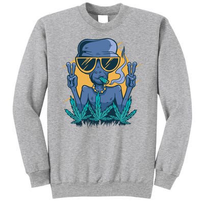 Alien Joint Sweatshirt