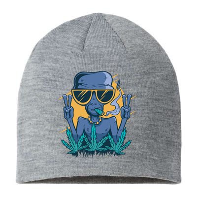 Alien Joint Sustainable Beanie