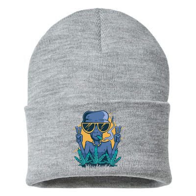 Alien Joint Sustainable Knit Beanie